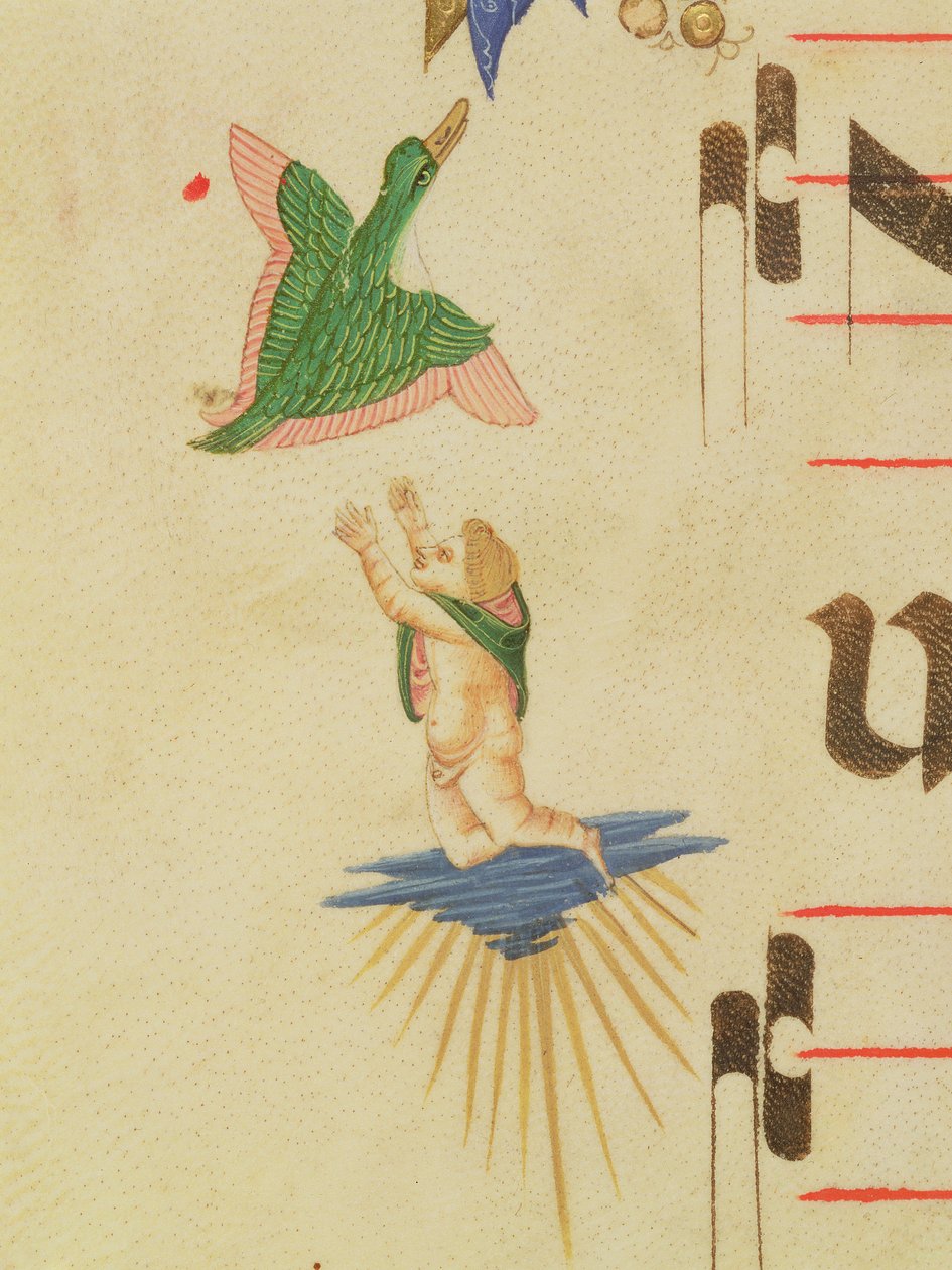 Missal 515 f.13v 1449のベラムの詳細56721の前に実行された合唱団の本の詳細である装飾的な境界線から、飛んでいる鳥を捕まえようとするマントの天使 作： フィリッポ・ディ・マッテオ・トレリ