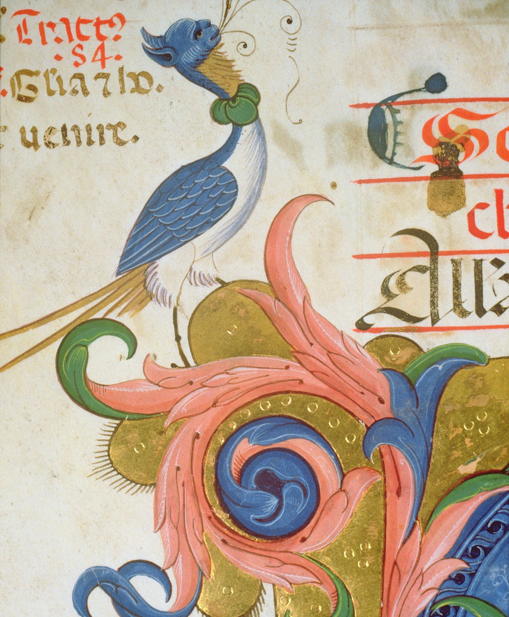 Missal 515 f.28v歴史的なイニシャルの角に人間の頭が立っている幻想的な鳥、1449ヴェラムの詳細の前に実行された合唱団の本の詳細56724 作： フィリッポ・ディ・マッテオ・トレリ
