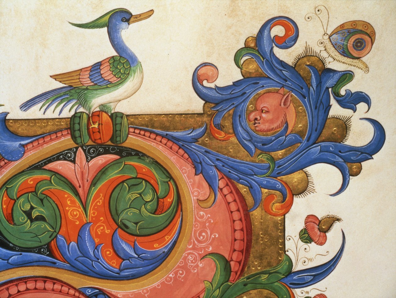 Missal 515 f.92vアヒルのような鳥と蝶が生息する動物の形をした葉、1449ベラムの前に実行された聖歌隊の本の歴史的なイニシャルを囲む装飾の詳細 作： フィリッポ・ディ・マッテオ・トレリ