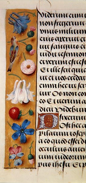 Ms.1058-1975, f.22v: 1500年頃の時祷書に描かれた花の縁取りの詳細（ヴェラム製 作： フランドルの学校