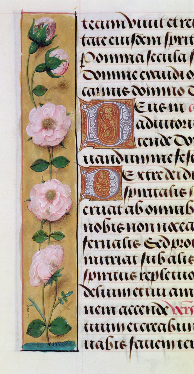 Ms. 1058-1975、f.34v：Book of Hours、c.1500からの花のボーダーの詳細 作： フランドルの学校
