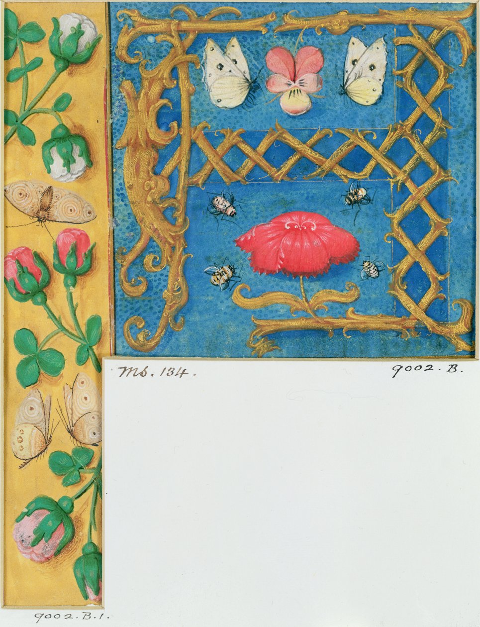 Ms 134照らされた手紙 `Aと時間の書、c.1500からの花の側面の境界 作： フランドルの学校