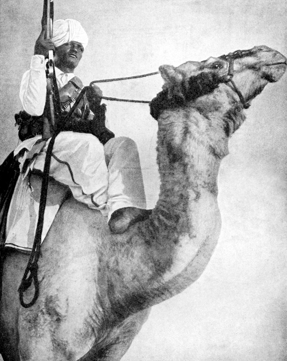アフリカの砂漠の戦士、1936年。 作： フォックスの写真