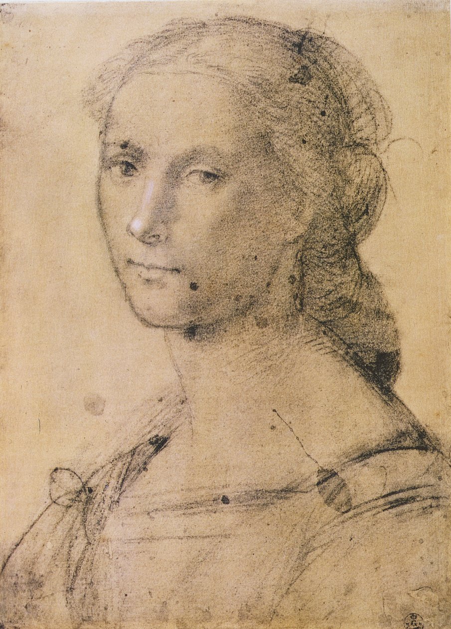 若い女性の肖像画（紙にチョーク） 作： フラ・バルトロメオ