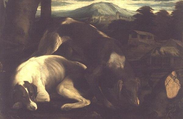 二匹の狩猟犬、1555年頃 作： フランチェスコ・バッサーノ