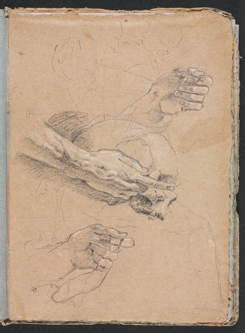 Verona Sketchbook:Study of hands and skull page 21, 1760. 作： フランチェスコ・ロレンツィ
