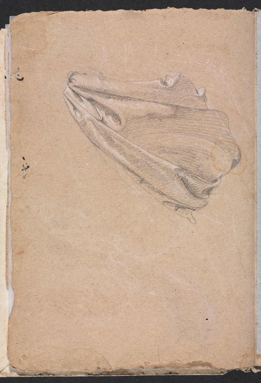 Verona Sketchbook：Drapery study page 6、1760。 作： フランチェスコ・ロレンツィ