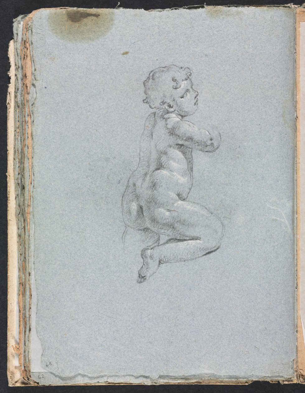 Verona Sketchbook: Putto in profile (page 64) 作： フランチェスコ・ロレンツィ