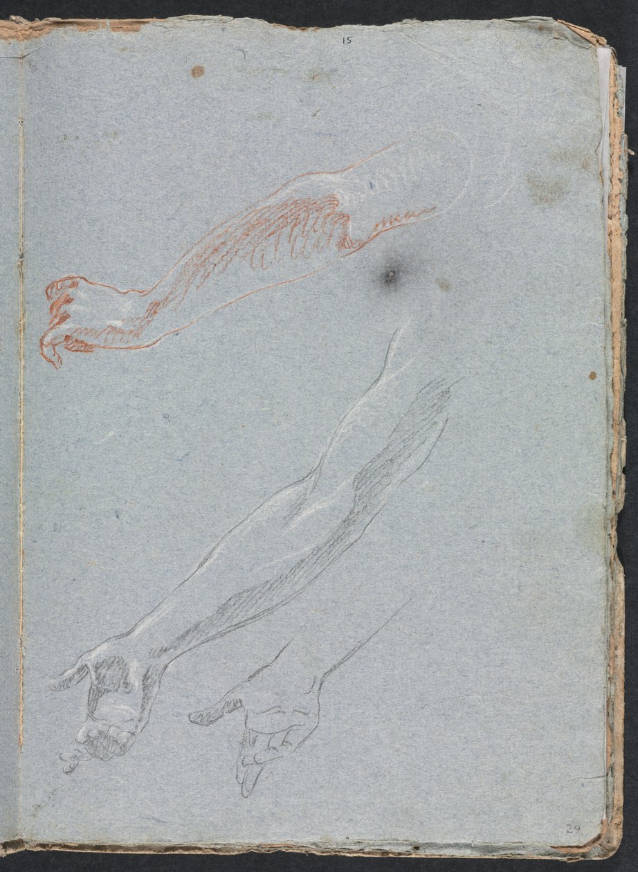 Verona Sketchbook：Study of手と腕のページ29、1760。 作： フランチェスコ・ロレンツィ