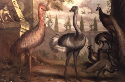 鳥のコレクション（油） 作： フランシス・バーロウ