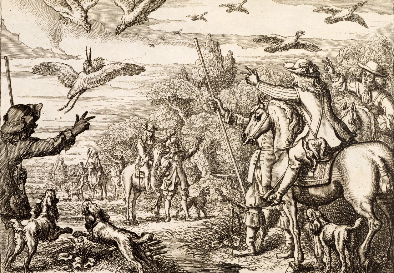 ヘロンホーキング、ヴァーツラフホラーによって彫刻された、1671年 作： フランシス・バーロウ
