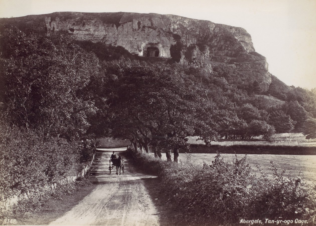 Abergele、Tan-yr-ogo 洞窟、1870 年代。 作： フランシス・ベッドフォード