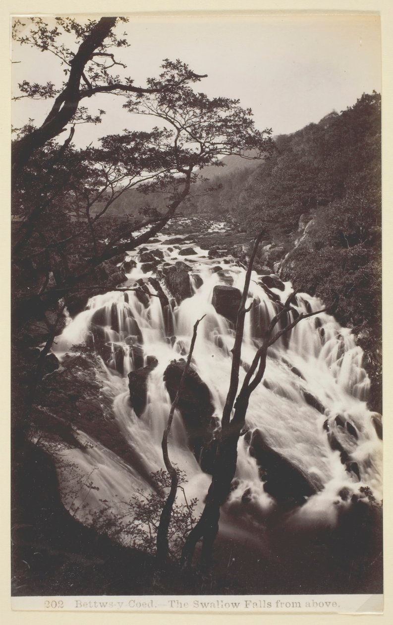 Bettws-y Coed、上からのツバメの滝、186094。 作： フランシス・ベッドフォード