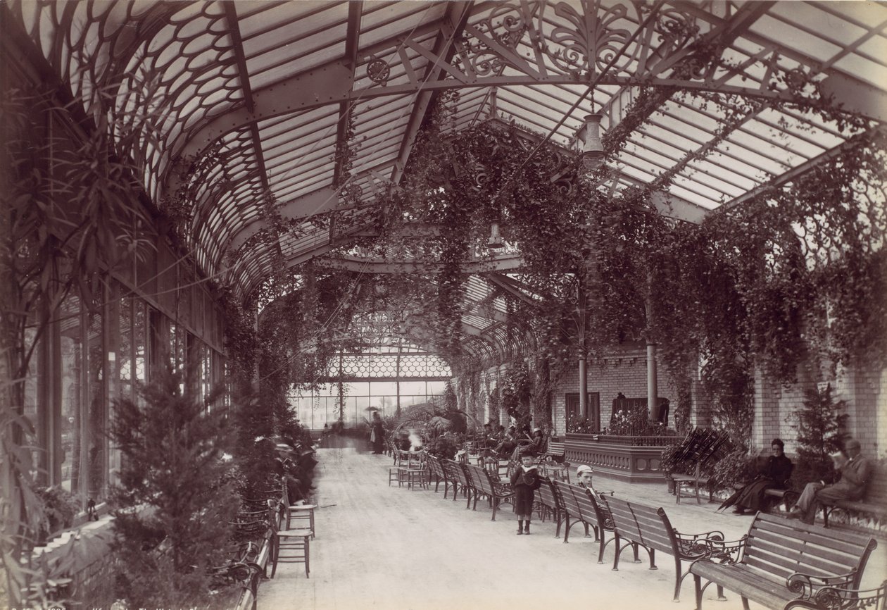 Ilfracombe、ビクトリア朝の遊歩道、1870 年代。 作： フランシス・ベッドフォード