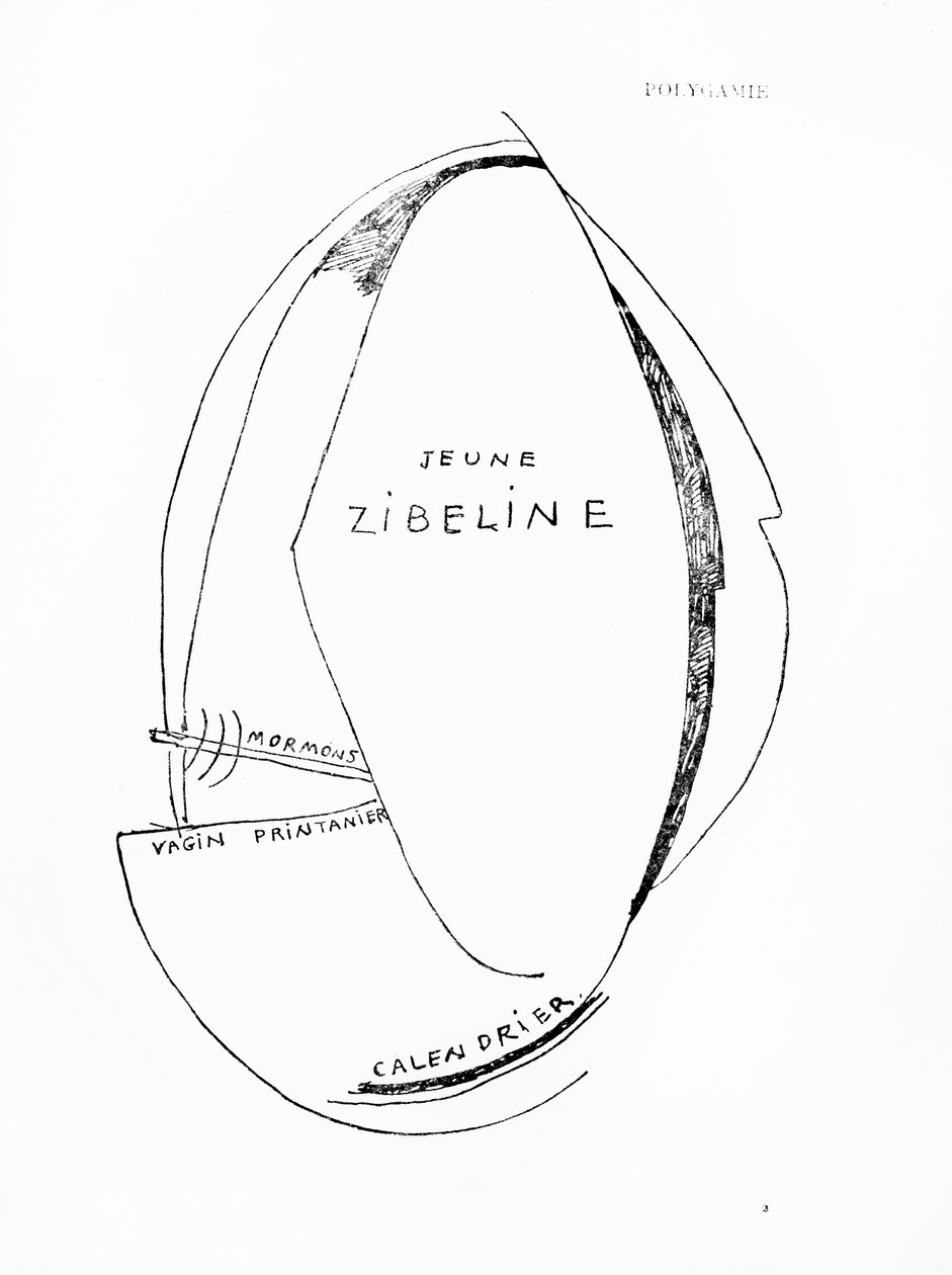 ローザンヌ、Imprimeries Reuniesより出版された "Poemes et Dessins de la Fille nee sans Mere "15号。 作： フランシス・ピカビア