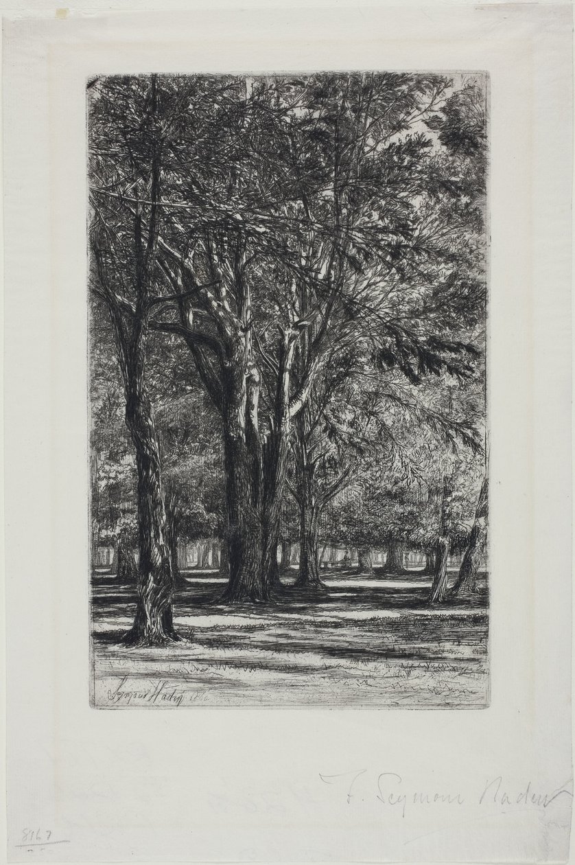 Kensington Gardens, No. II (大皿) 作： フランシス・シーモア・ヘイデン