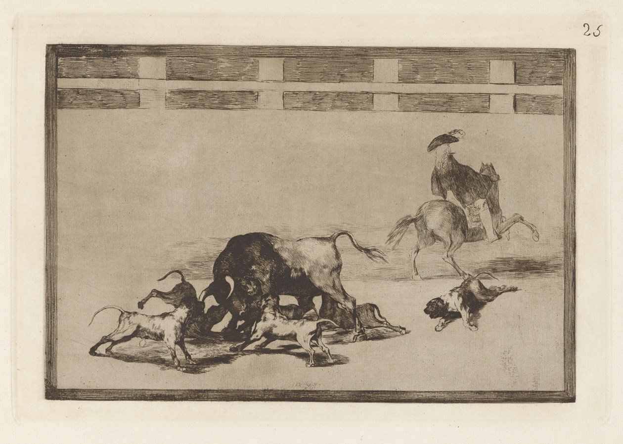 Echan perros al toro (They Loose Dogs on the Bull), Plate 25 from La tauromaquia 作： フランシスコ・デ・ゴヤ