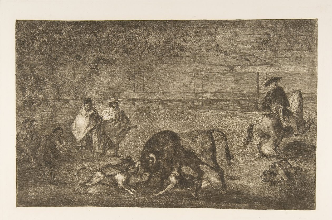 プレートC：犬は雄牛を放します。 1816年。 作： フランシスコ・デ・ゴヤ