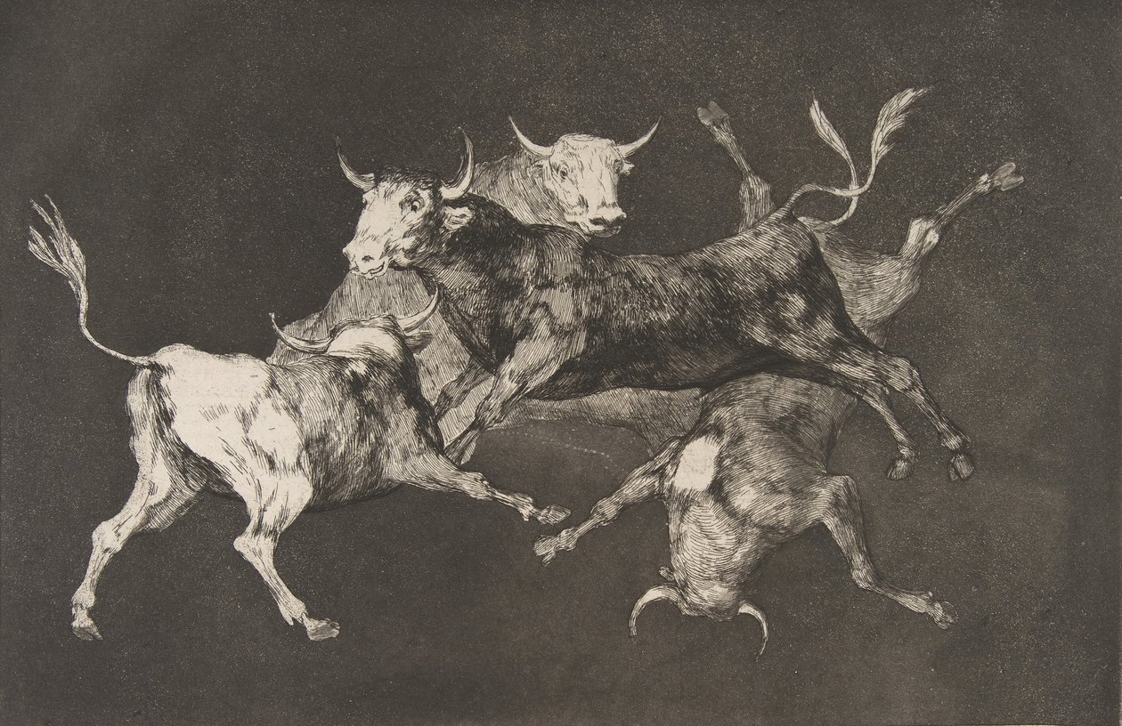 DisparatesのプレートD：Fools-or Little Bulls-fo ...、ca. 1877年より前に発行された1816-23 作： フランシスコ・デ・ゴヤ