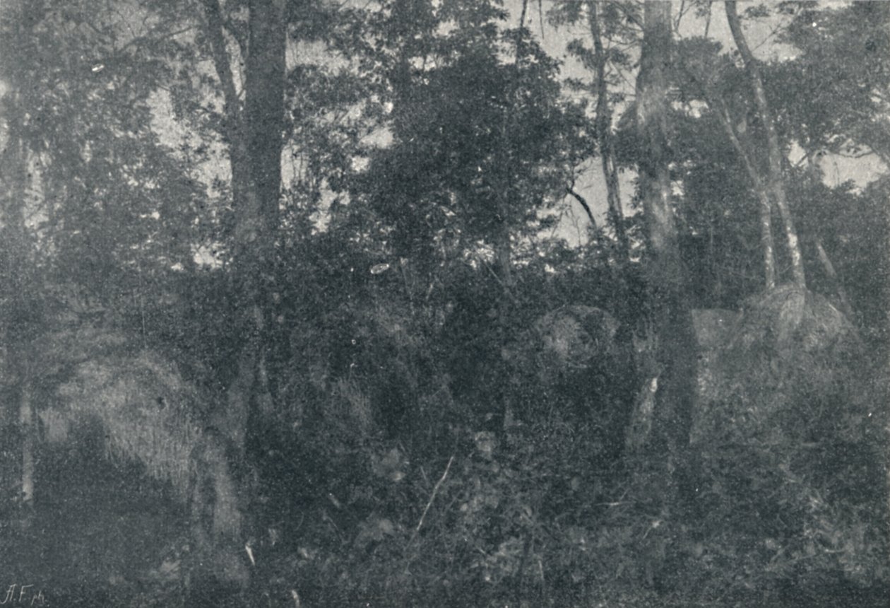 Cabanas de Indios、1895 作： フランシスコ・ヘンツラー