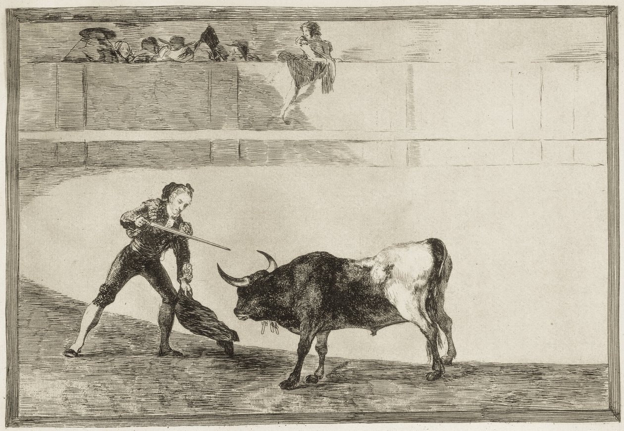 GOYA Y LUCIENTES、Francisco de (1746-1828)。 止まった雄牛を殺すペドロ・ロメロ。 1816. (25.1 x 35.9 cm)。 ロメロ、ペドロ（1754-1839）。 スペインの闘牛士。 「闘牛の芸術」のプレート30。 エッチング。 スペイン。 マドリッド (自治コミュニティ)。 マドリード。 全国 作： フランシスコ・ホセ・デ・ゴヤ・イ・ルシエンテス