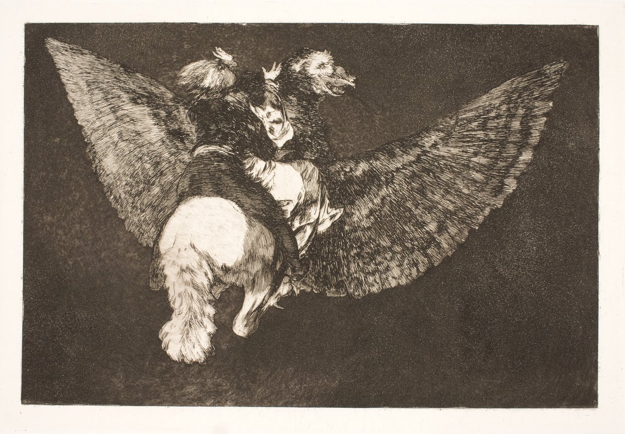 The Flying Folly (翼の下にあなたを隠し、くちばしであなたを噛む友人をあきらめてください) 作： フランシスコ・デ・ゴヤ