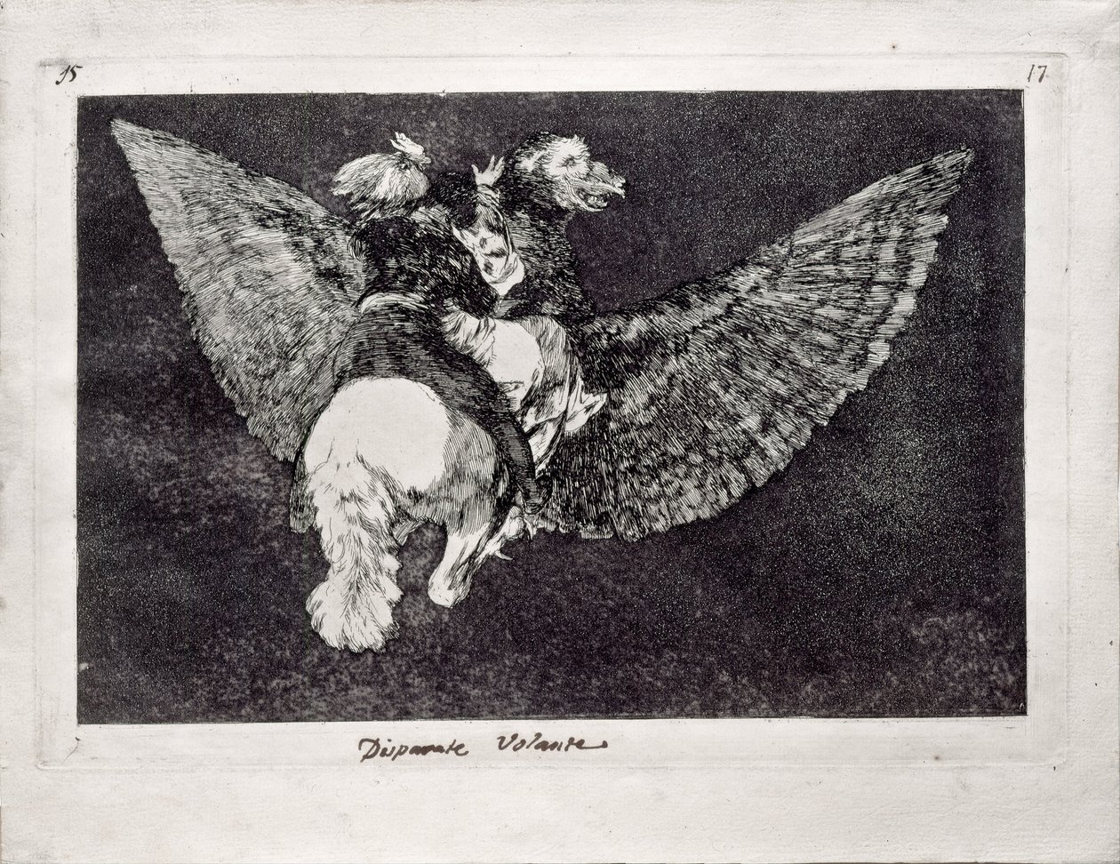 シリーズLos Disparates Follies、1815-1819のフライングフォリー 作： フランシスコ・デ・ゴヤ