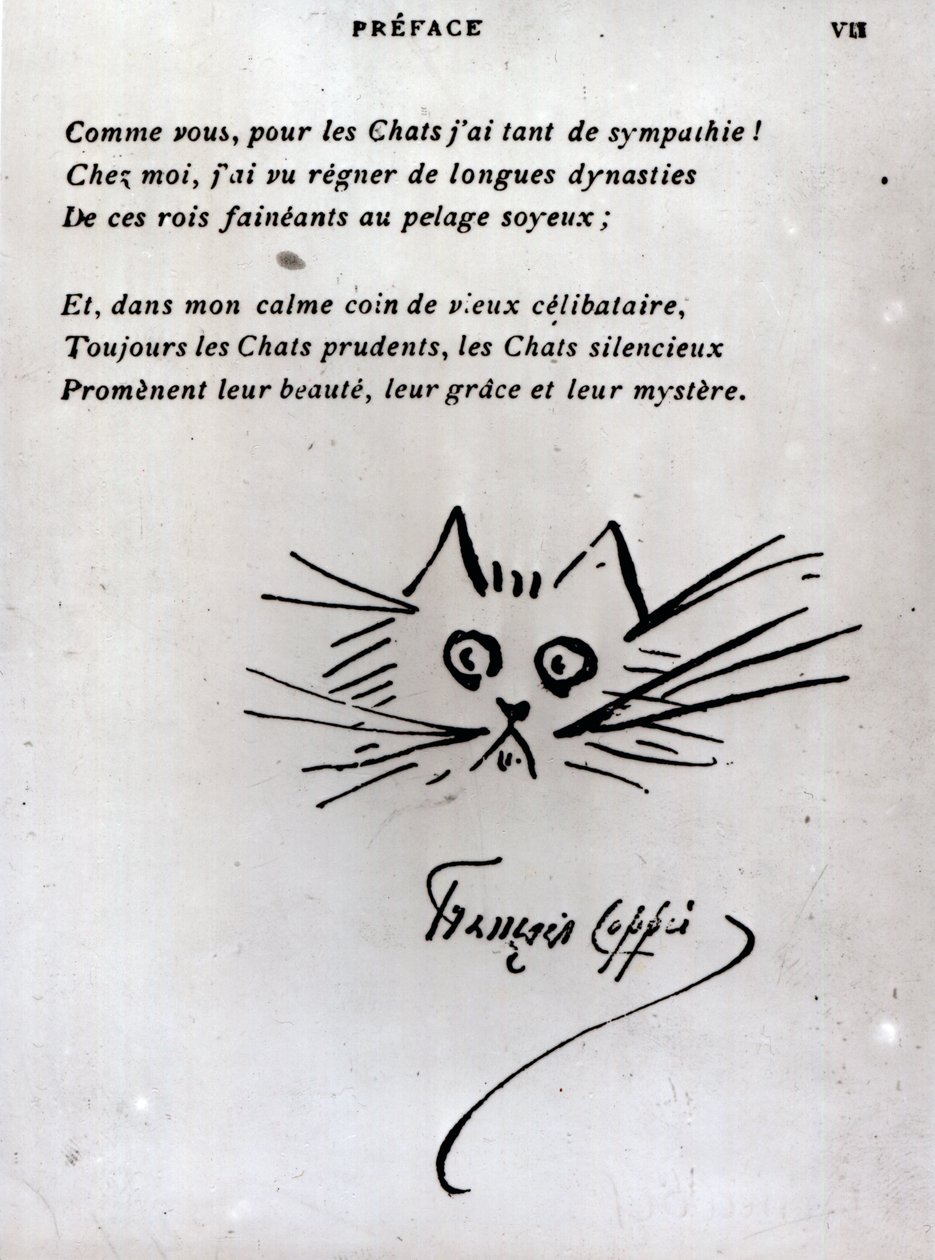 猫の頭、フランソワ・コピーの詩のイラスト（紙にペンとインク） 作： フランソワ・コピー