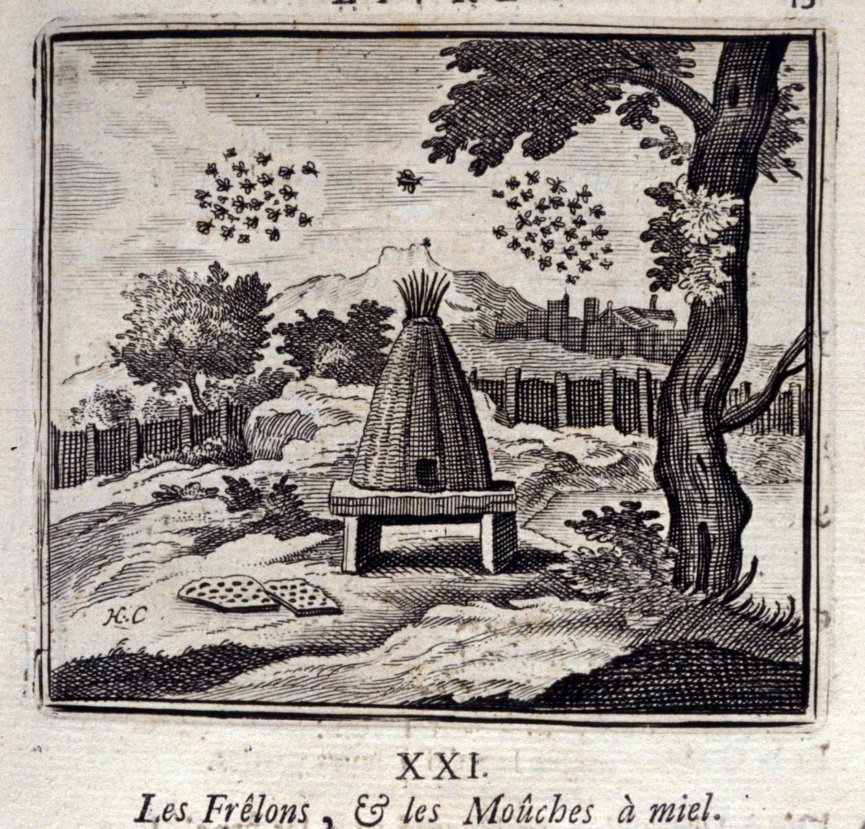 ホーネットとミツバチ。ジャン・ド・ラ・フォンテーヌ（1621-95）の寓話。挿絵はフランソワ・ショーボー（1613-1676）。1728年の版。 作： フランソワ・ショーボー