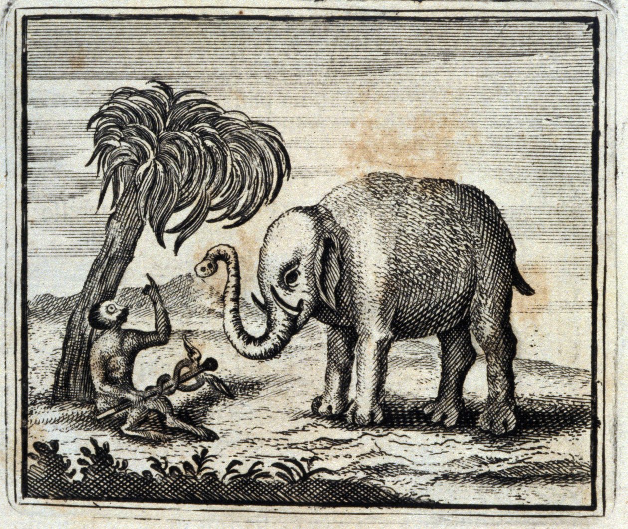 木星の象と猿。ジャン・ド・ラ・フォンテーヌ（1621-95）の寓話。挿絵はフランソワ・ショーボー（1613-1676）。1728年の版。 作： フランソワ・ショーボー