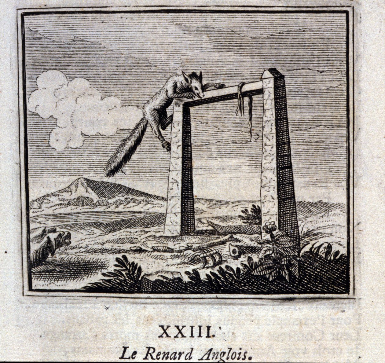 イギリスのキツネ。ジャン・ド・ラ・フォンテーヌ（1621-95）の寓話。挿絵はフランソワ・ショーボー（1613-1676）。1728年の版。 作： フランソワ・ショーボー