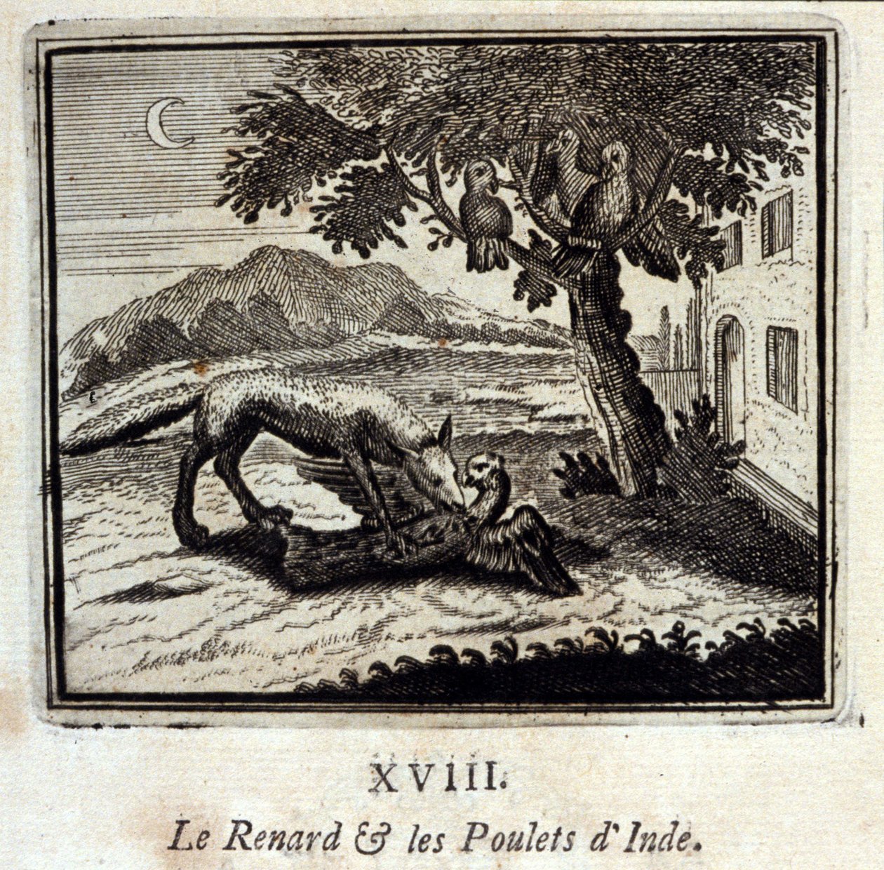 インドのキツネとニワトリ」。ジャン・ド・ラ・フォンテーヌ（1621-95）の寓話。挿絵はフランソワ・ショーボー（1613-1676）。1728年の版。 作： フランソワ・ショーボー