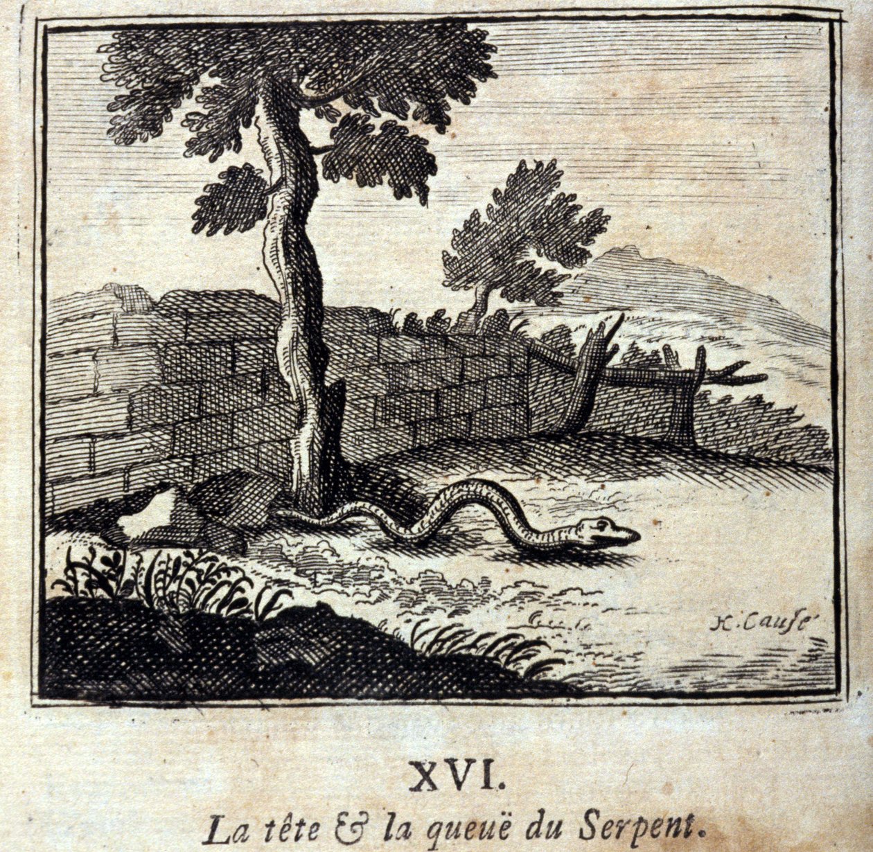 蛇の頭と尻尾。ジャン・ド・ラ・フォンテーヌ（1621-95）の寓話。挿絵はフランソワ・ショーボー（1613-1676）。1728年の版。 作： フランソワ・ショーボー