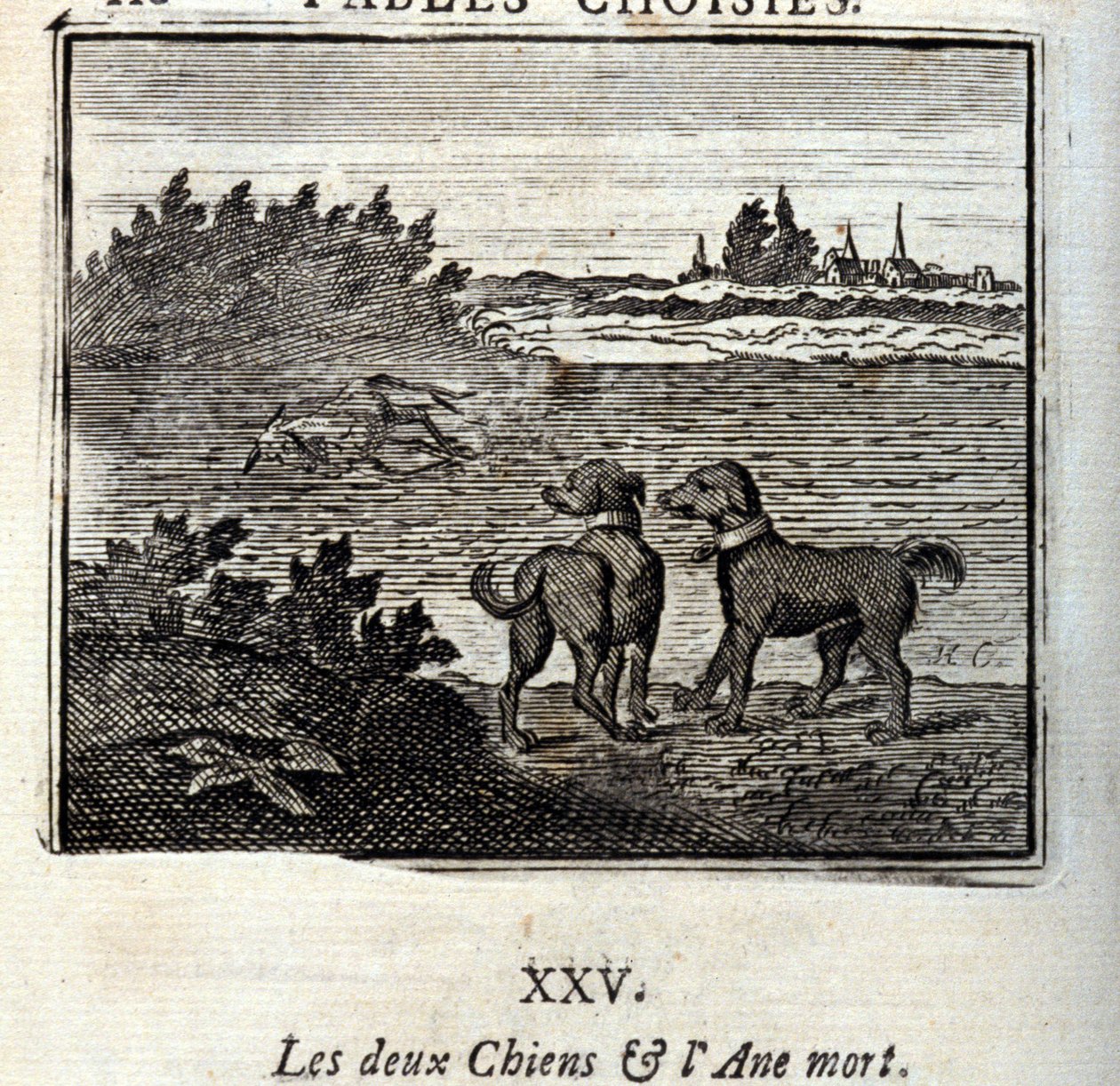 2匹の犬と死んだロバ。ジャン・ド・ラ・フォンテーヌ（1621-95）の寓話。挿絵はフランソワ・ショーボー（1613-1676）。1728年の版。 作： フランソワ・ショーボー