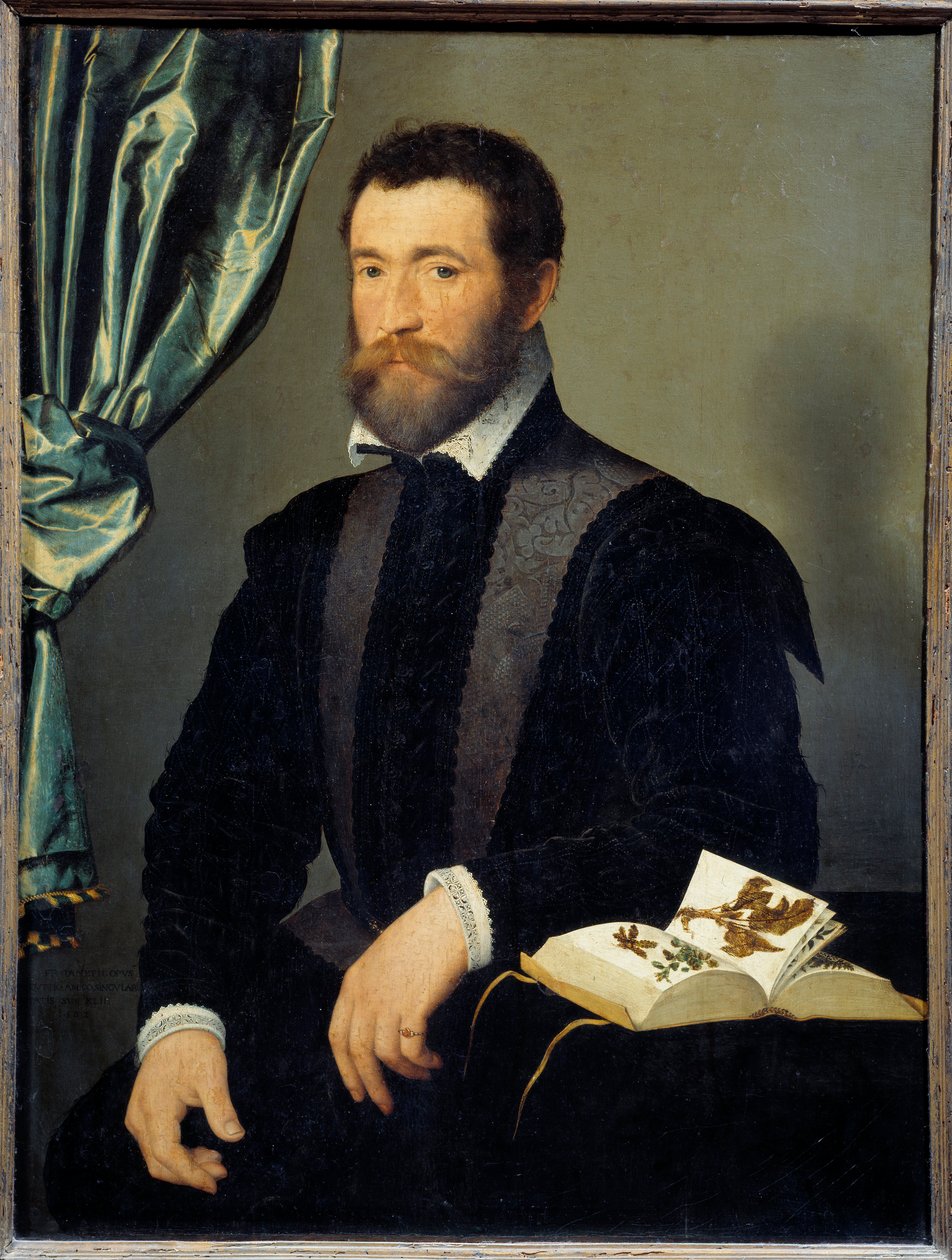 薬屋の肖像 ピエール・キュート (1519-apres 1588) フランソワ・クリュエ (1515-1572) の絵画 1562年日。0,91x0,7 m - 薬屋ピエール・クテ（1519- ca1588）の肖像。フランソワ・クリュエ（1515-1572）の絵画 作： フランソワ・クルーエ