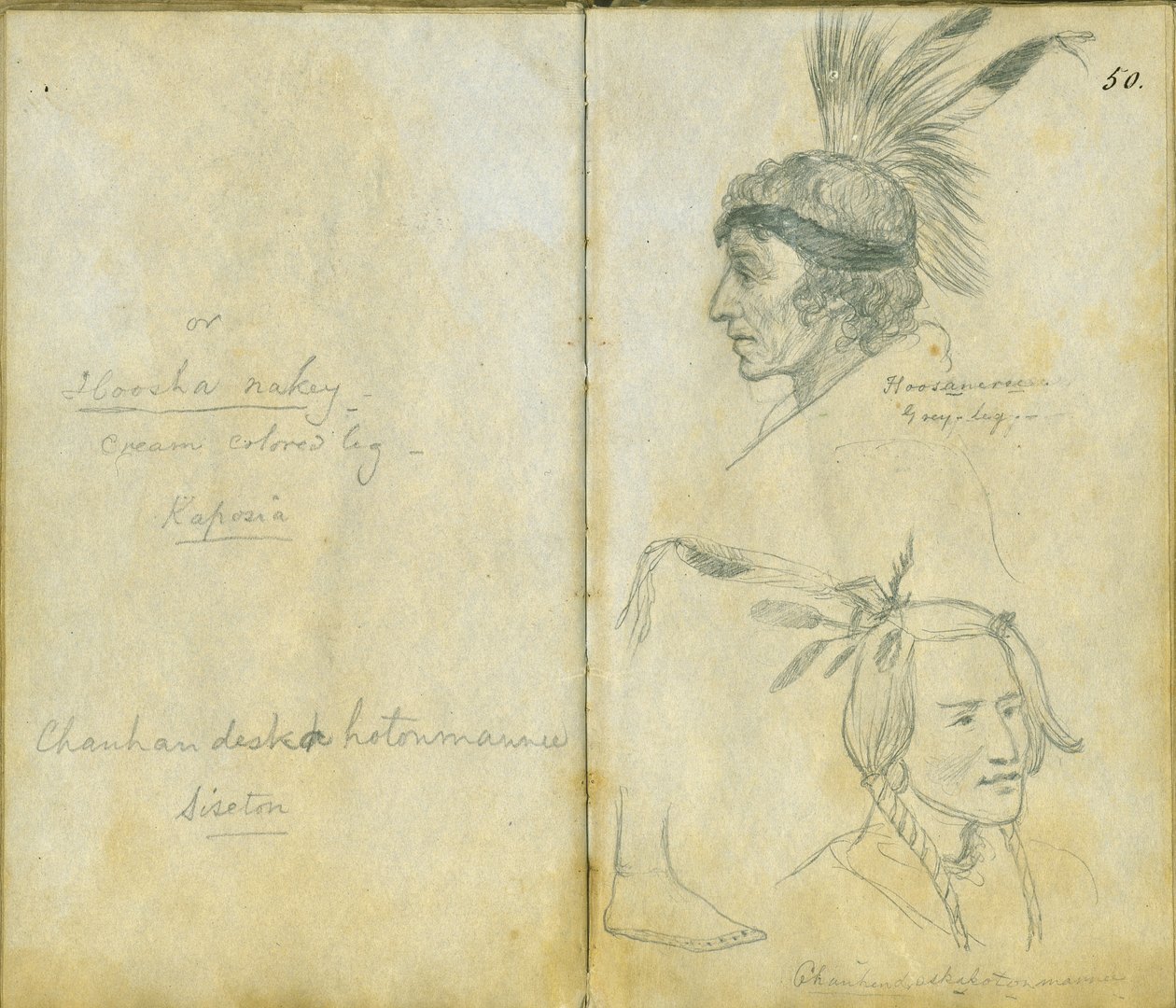 灰色の脚と身元不明のシセトンの男の肖像、1851年 作： フランク・ブラックウェル・メイヤー