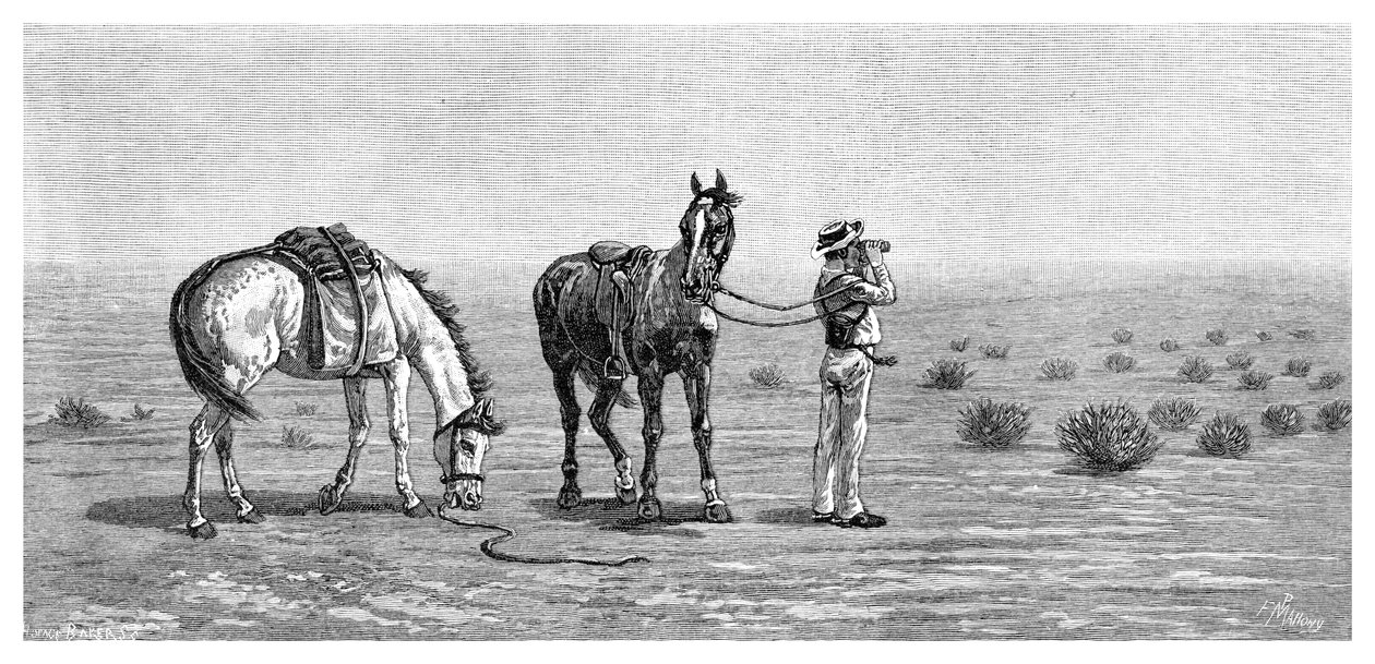 何も見えない、1886年。 作： フランク・P・マホニー