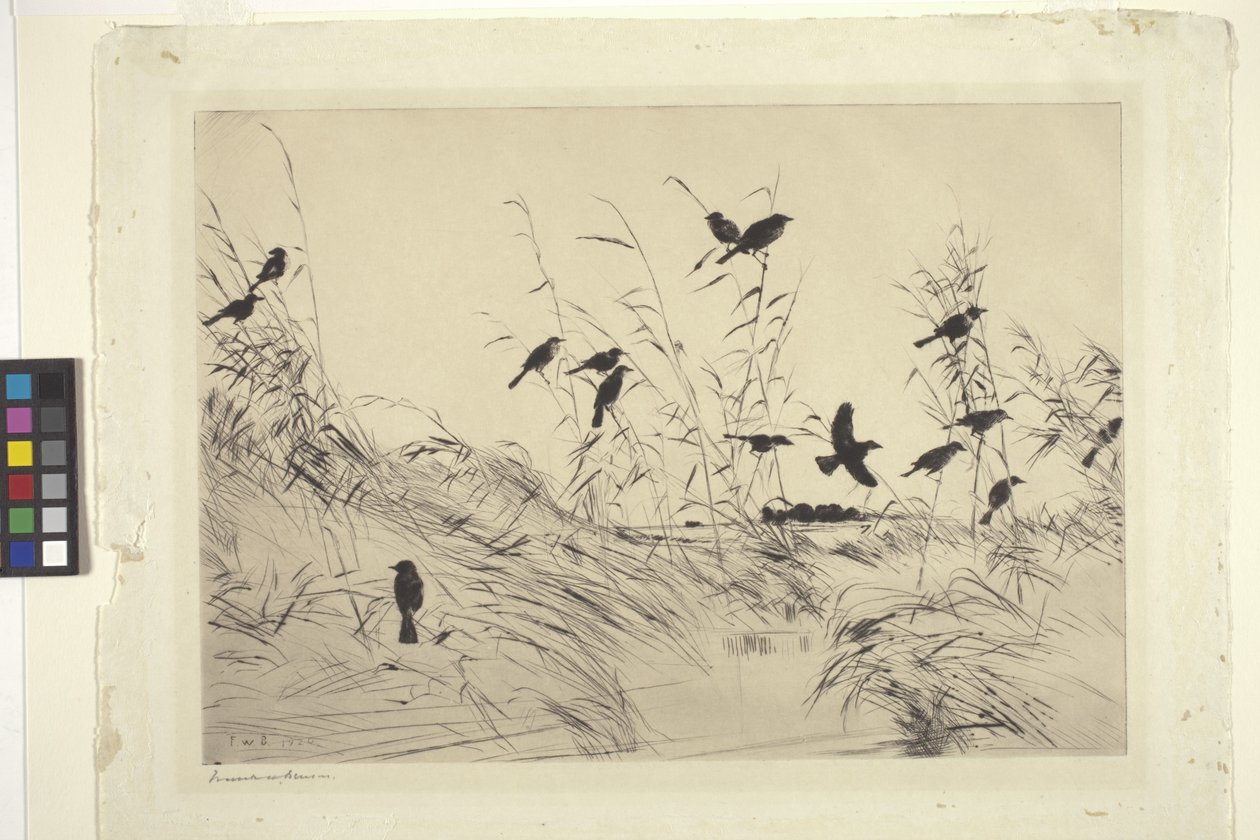 Blackbirds And Rushes (紙にインク) 作： フランク・ウェストン・ベンソン
