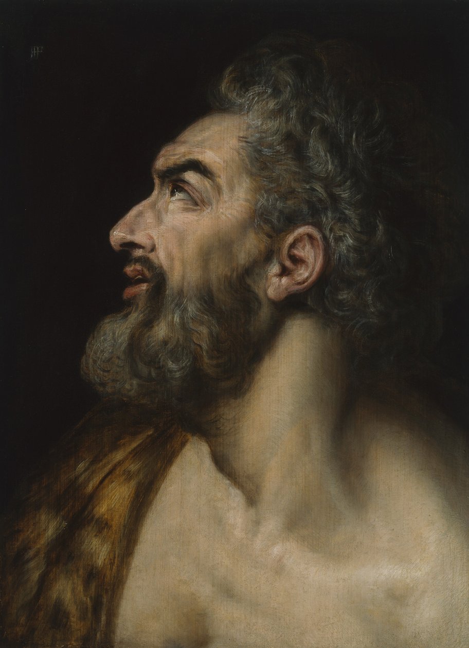 あごひげを生やした男の研究責任者、c.1565（パネルに油彩） 作： フランス・フロリス