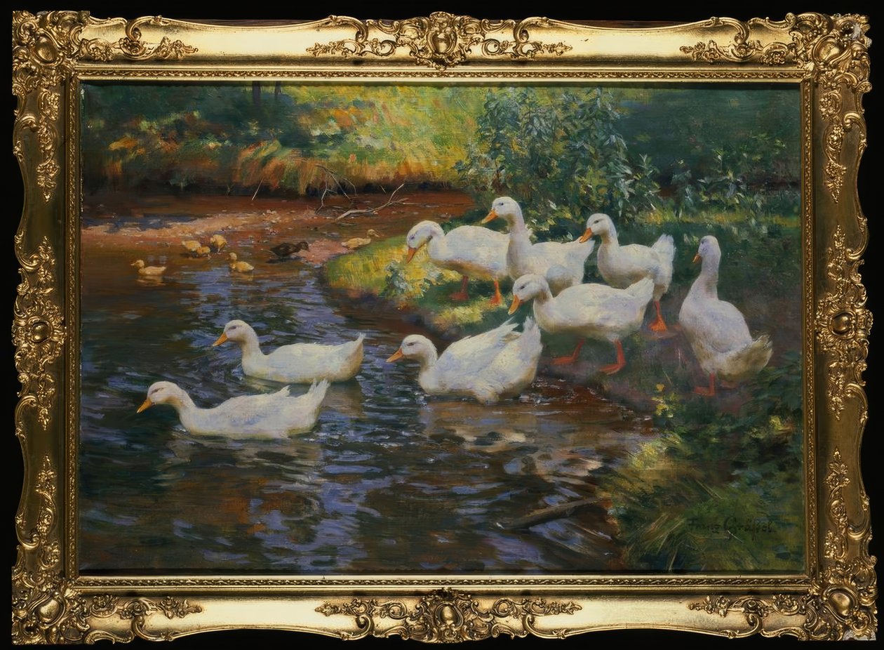 アヒルの家族（川岸にひよこがいるアヒル）