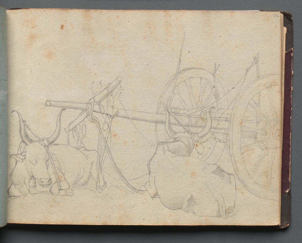 ローマとその周辺の景色を含むアルバム、風景研究、37aページ：牛と荷馬車。 作： フランツ・ヨハン・ハインリヒ・ナドルプ