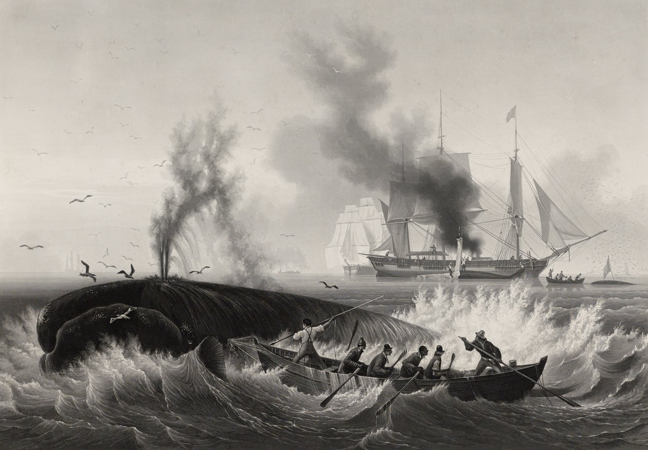 Pêchede la Baleine、1834-35（アクアチント＆紙にエッチングで彫刻） 作： フレデリックマルテンス