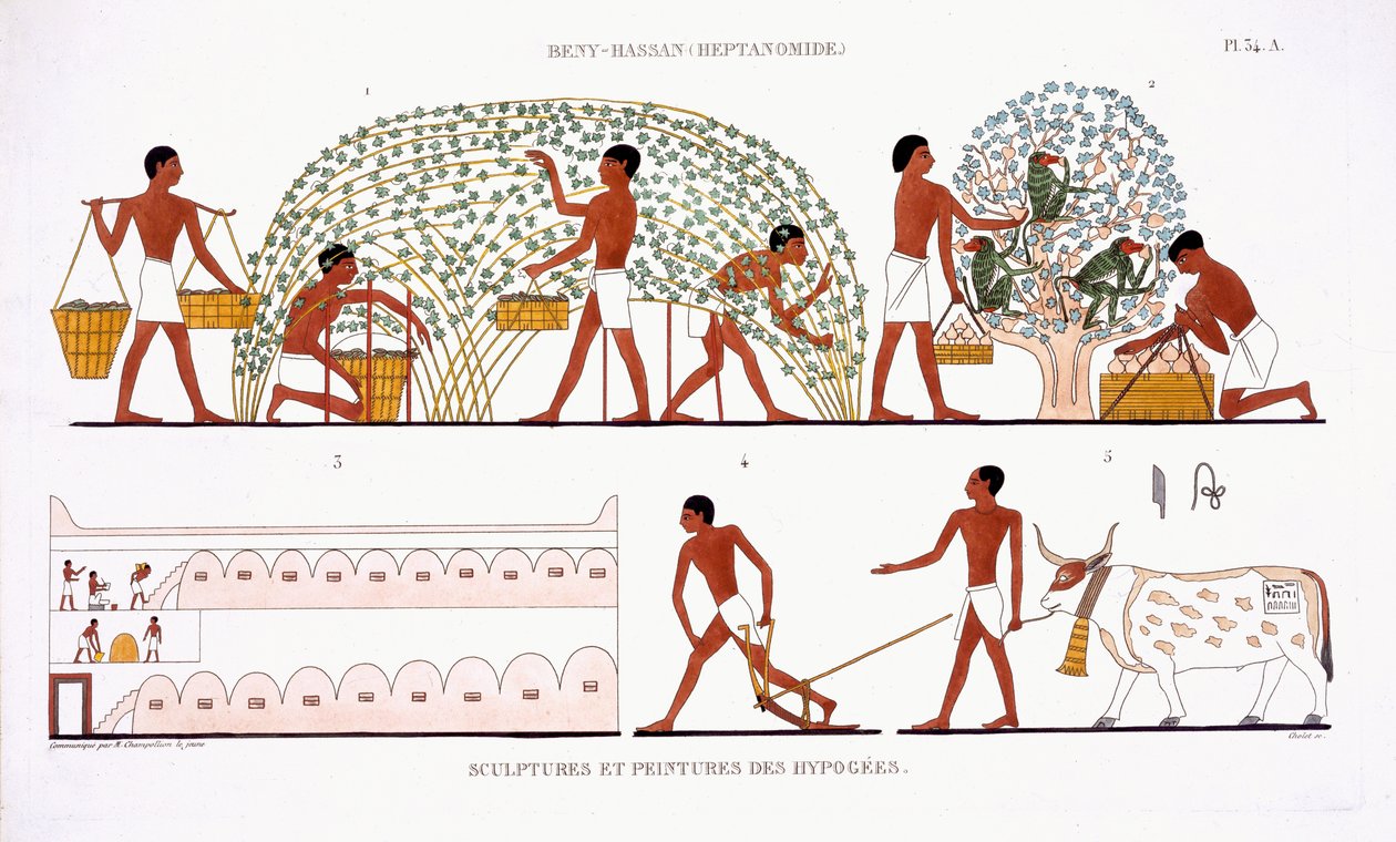 フレデリック・カイヨー（1787-1869）、カラーリソによるエジプトへの2回目の訪問で、テーベのフレスコ画のまれな記録からのフルーツピッキングは、1819-1822を記録しました 作： フレデリック（後）カイヨー