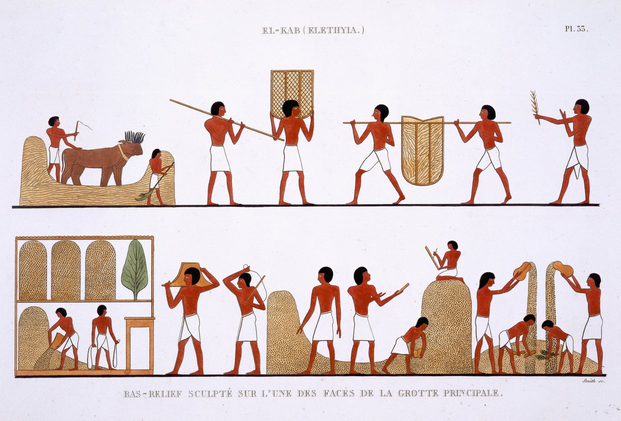 フレデリック・カイヨー（1787-1869）、カラーリソによるエジプトへの2回目の訪問で、1819-1822年に記録されたテーベのフレスコ画の珍しい記録からの穀物の貯蔵の輸送、保管、記録 作： フレデリック（後）カイヨー