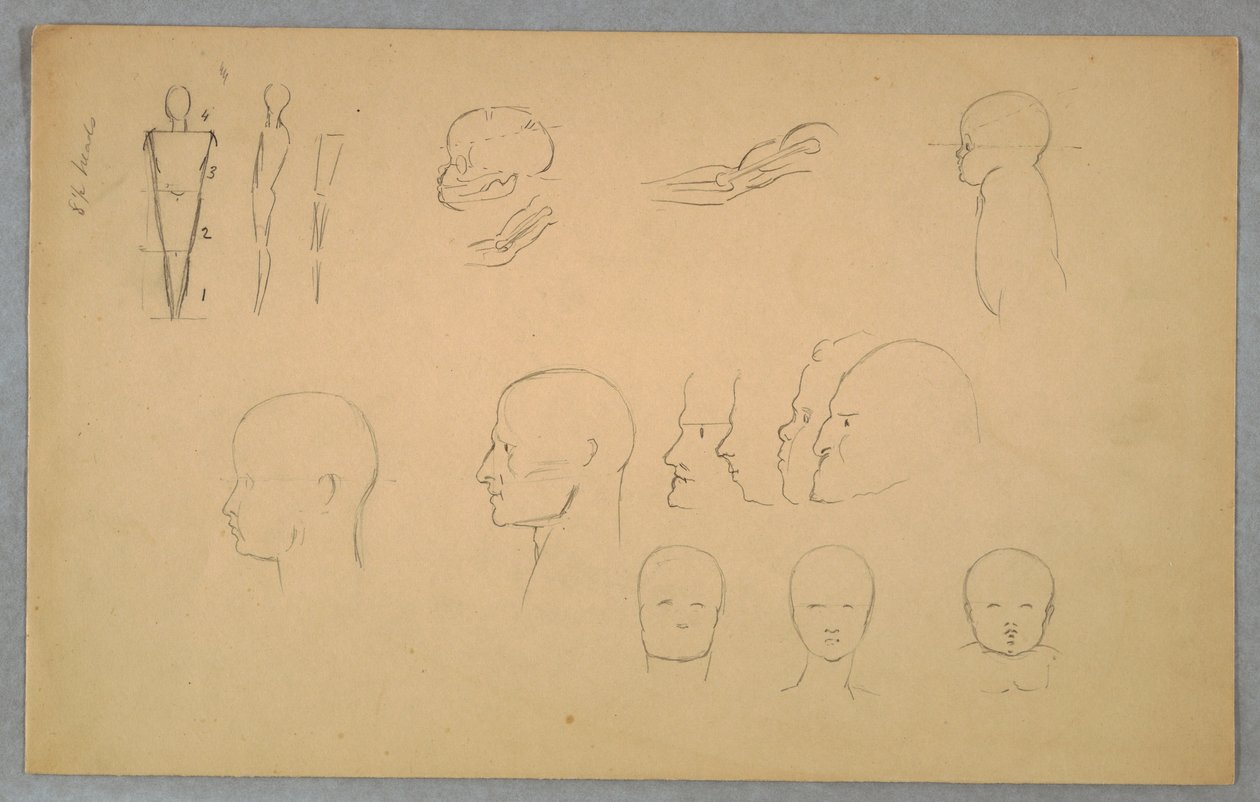 素描、解剖学的研究、1865-70年 作： フレデリックエドウィン教会