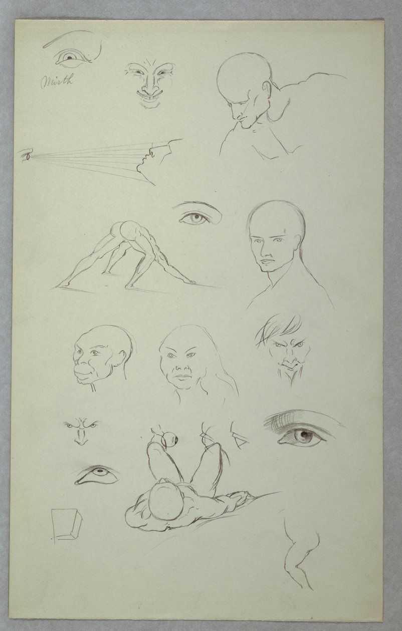 素描、解剖学的研究、1865-70年 作： フレデリックエドウィン教会