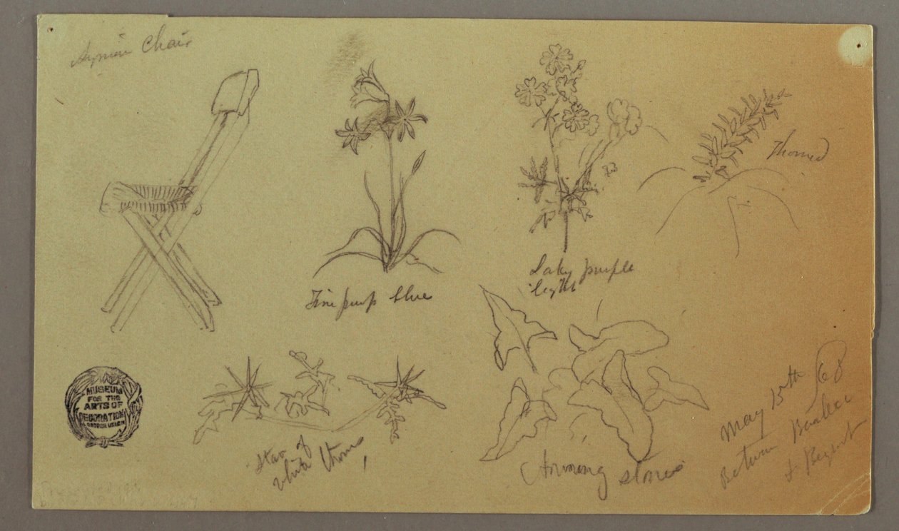 素描、椅子と植物の研究、1868年5月15日 作： フレデリックエドウィン教会