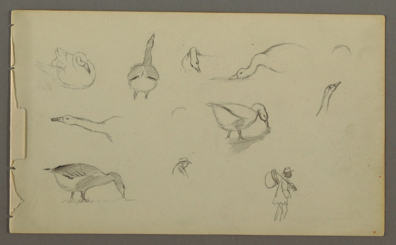 素描、アヒルの習作8点、人物画2点、1857-58年頃か 作： フレデリックエドウィン教会
