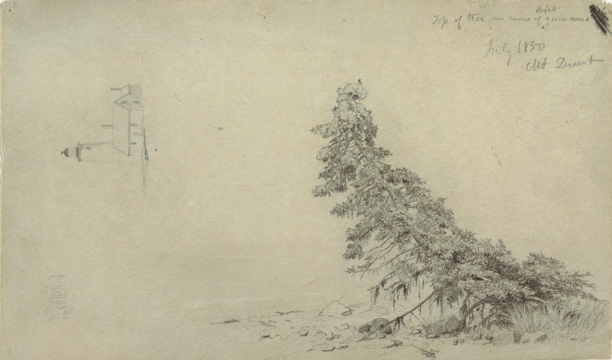 1850年7月、メイン州マウント・デザート、灯台と家の細部が描かれた海岸近くのエバーグリーン・ツリー。 作： フレデリックエドウィン教会