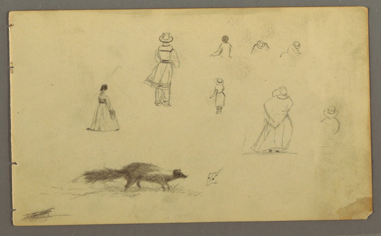 デッサン、背中からの人物研究、スカンク、おそらく1857-58年 作： フレデリックエドウィン教会